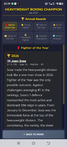 Sim: Heavyweight Boxing - Tangkapan Layar 8